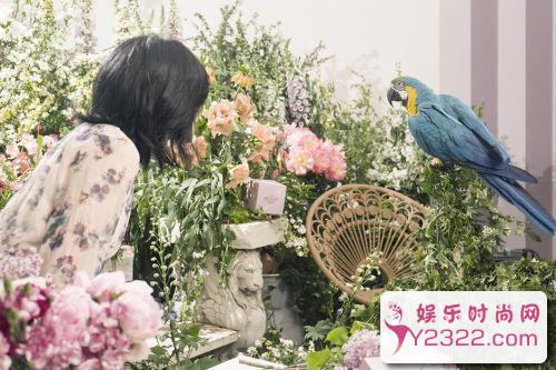 小S恳求花艺师放弃做花送妈_第7页_m.y2ooo.com