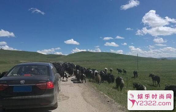 自驾游遇突发情况常识 关键时刻能救命！_m.y2ooo.com