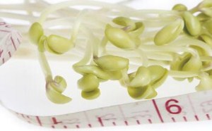 一直在减肥完又复胖的痛苦深渊当中,不断轮回 一直在减肥完又复胖的痛苦深渊当中,不断轮回