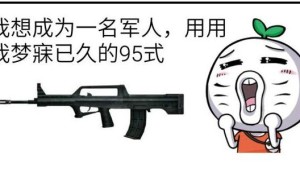 我想成为一个军人，用我的95式干死对方