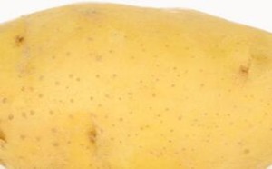 怎样吃土豆才能达到最好的减肥效果