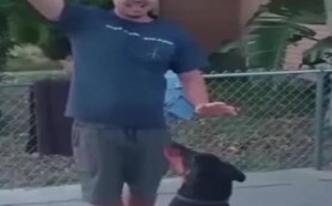 【轻松时刻】美女 请管好你下半身的衣服 126