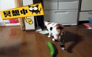 【轻松时刻】我要做你生命中最湿背秀的存在 140