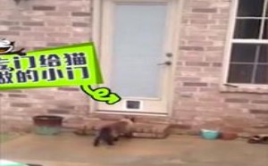 【轻松时刻】有病千里来相会 约不约 154 【轻松时刻】有病千里来相会 约不约 154