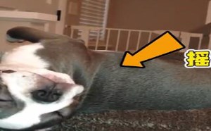 【轻松时刻】人群之中我最闪耀 104