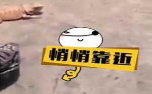 【轻松时刻】如此魔性的一面 早该亮出了 111