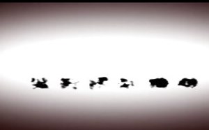 胡狼作品第15期:假如世界没有狼 胡狼作品第15期:假如世界没有狼