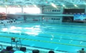 胡狼作品第28期：同事小高游泳比赛录像