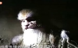 每日一囧故事会:大话西游 猪八戒才是补刀小能手 每日一囧故事会:大话西游 猪八戒才是补刀小能手