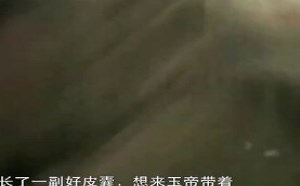 每日一囧故事会： 大话西游 沙和尚的身世之谜