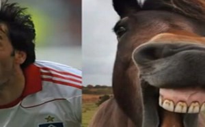 【逗逼说】碉堡！能不这么像吗？ 雷人宠物明星脸