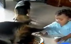 【逗逼说】超级搞笑萌宝掉米 【逗逼说】超级搞笑萌宝掉米