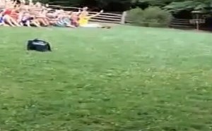 【逗逼说】【萌宝逗宠】天生萌物，太可耐了