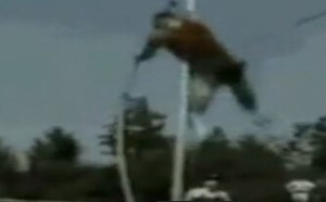 【逗逼说】【逗逼体育】从此节操是路人啊