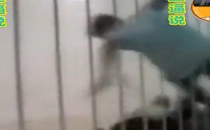 【逗逼说】体育经典爆笑场面！不看真后悔！