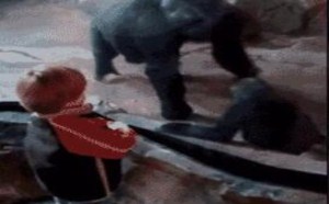 林子大了之啥鸟都有 二百块钱都能干点啥 14 林子大了之啥鸟都有 二百块钱都能干点啥 14