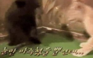 有些事情，需要特定的时间 每日一囧 19