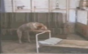 看不惯的事太多了 每日一囧 21