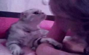 坚持了这么久真是辛苦啦！ 每日一囧 22