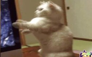 那个屁股太恶了 每日一囧 24 那个屁股太恶了 每日一囧 24