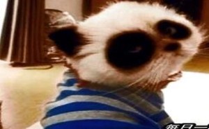 大冬天的被那个蝴蝶吓出汗 每日一囧 32 大冬天的被那个蝴蝶吓出汗 每日一囧 32