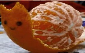 我发现有4个傻瓜 每日一囧 36