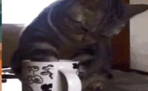 身为日照人，让我情何以堪 每日一囧 38