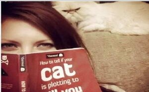 给老鹰做旁白的声音好销魂！ 每日一囧 47