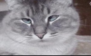 冰箱变洗衣机那货~ 每日一囧 60 冰箱变洗衣机那货~ 每日一囧 60