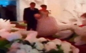 棉花糖那个太好看了 每日一囧 05 棉花糖那个太好看了 每日一囧 05