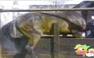 无敌了,看了再也不想喝了! 06 无敌了,看了再也不想喝了! 06