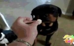 利用电池起火 怎么做到的! 09 利用电池起火 怎么做到的! 09