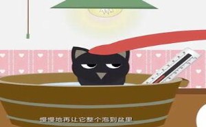 教你如何让喵星人乖乖洗澡 飞碟一分钟 65