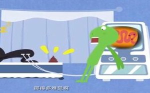 揭穿身体排毒谣言 飞碟一分钟 175