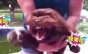 吃货人生处处是坑！为了吃，我豁出去啦 萌星人de那些破事03